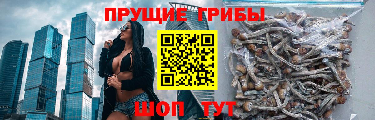 Архангельск  Галлюциногенные грибы прущие грибы  Вход с VPN 